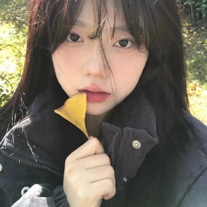 温迪和露西