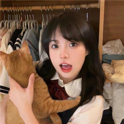 九霄龙吟传